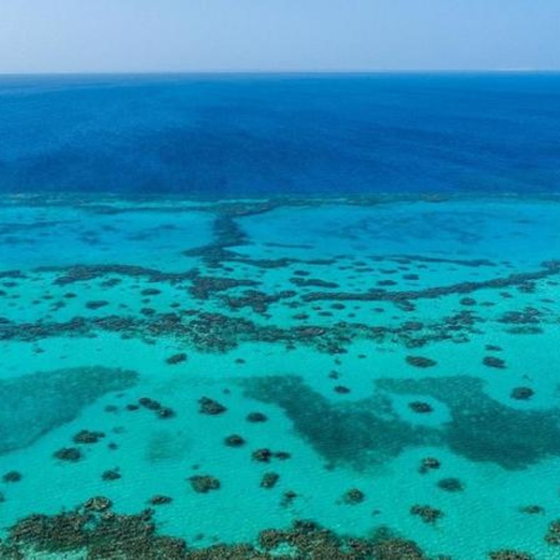 افضل الوجهات البحرية للاحتفال بعيد الحب في المملكة