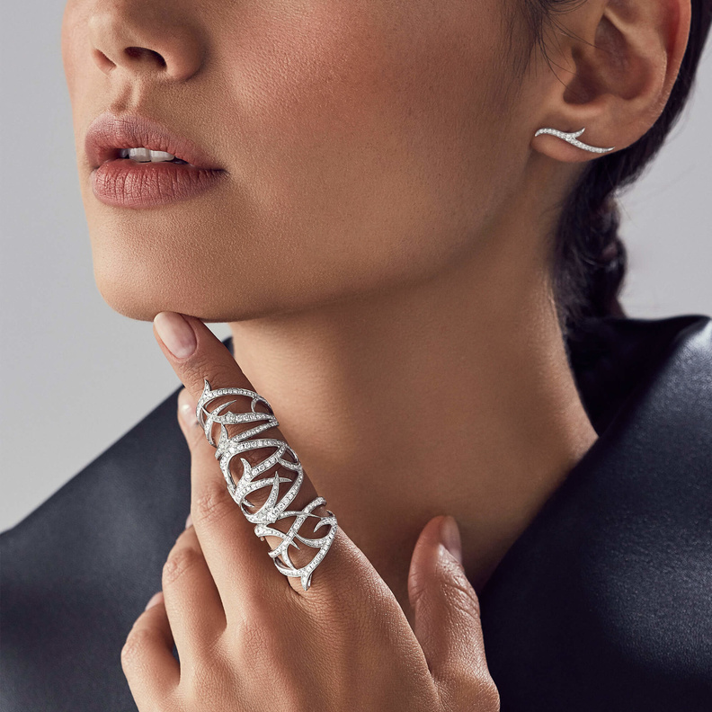 صورة رئيسية من Stephen  Webster