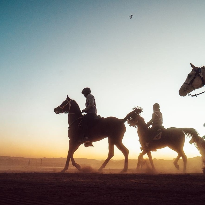 كأس خادم الحرمين الشريفين للقدرة والتحمل