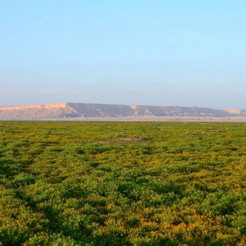 محمية الملك عبدالعزيز الملكية توقع عقود تأسيس منتجعين سياحيين في روضة الخفس وقلتة أم قليدة