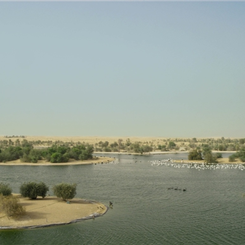 محمية دبي الصحراوية وأجواء ساحرة لعشاق الطبيعة - المصدر المكتب الاعلامي لحكومة دبي