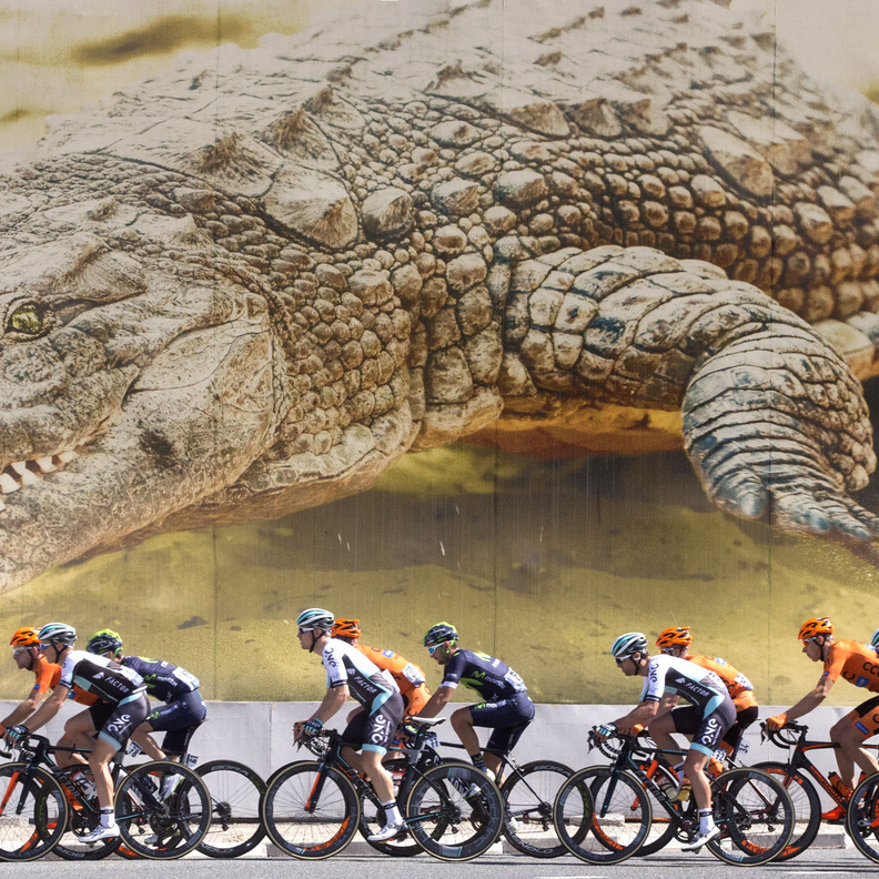 32 سباق تعزز مكانة دبي على خارطة الدراجات الهوائية العالمية