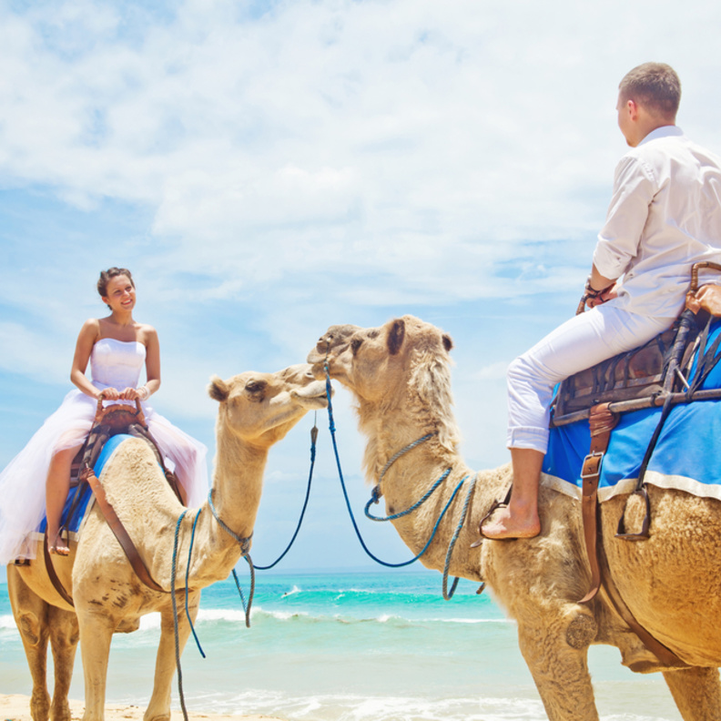 shutterstock_يمكن للعروسين اقامة حفل زفاف رومانسي في عيد الحب في الامارات