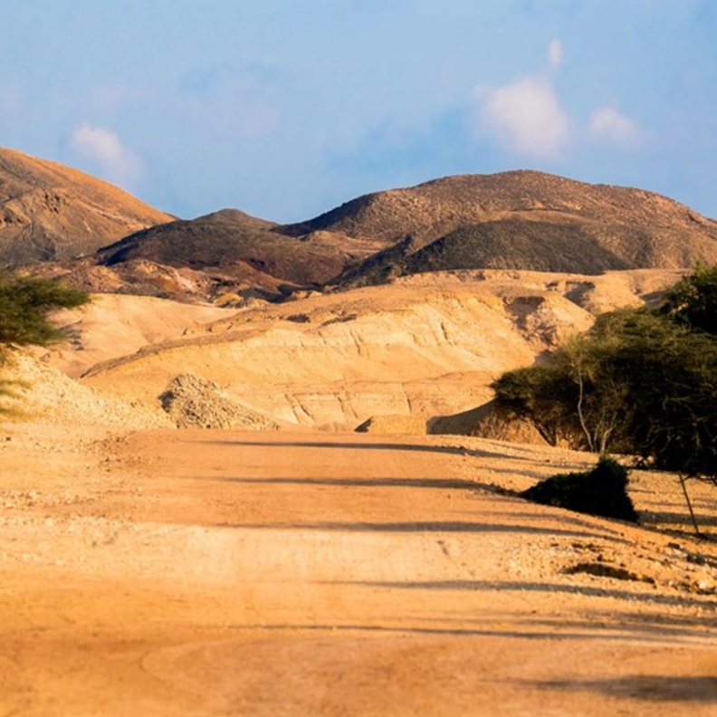 منتزه الحياة البرية العربية في أبوظبي.. وجهة عالمية لعشاق المغامرات في أحضان الطبيعة