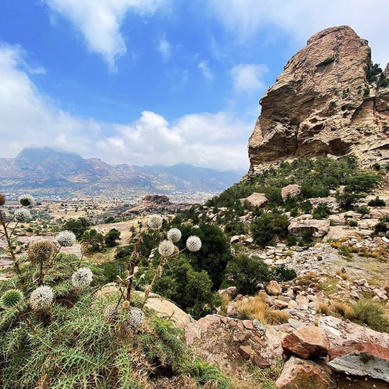 تنومة الساحرة بأجوائها الخلابة - المصدر @baqshihassan.