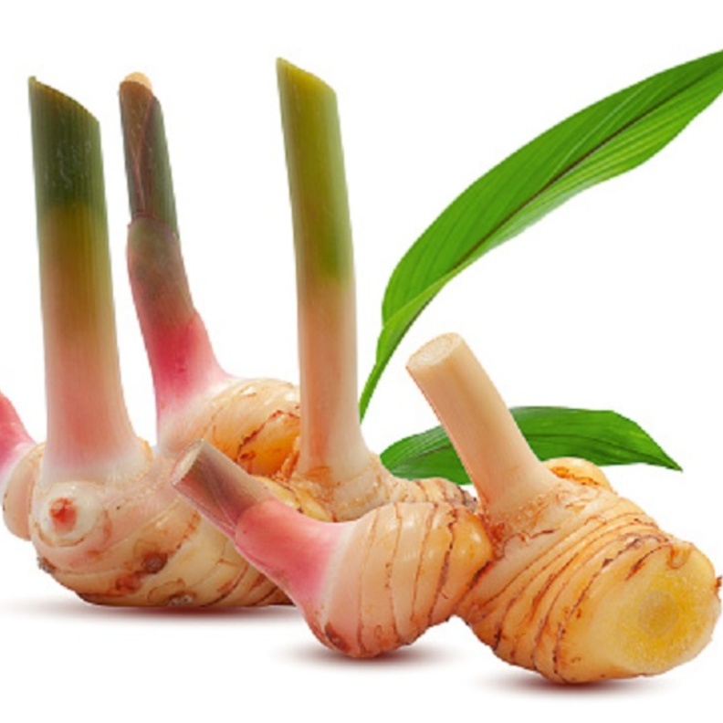 ماهي فوائد الخولنجان الصحية