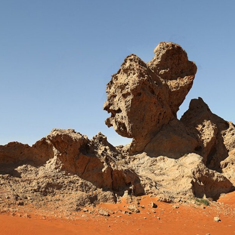 صخرة الأحفور - المصدر @discovermleiha.