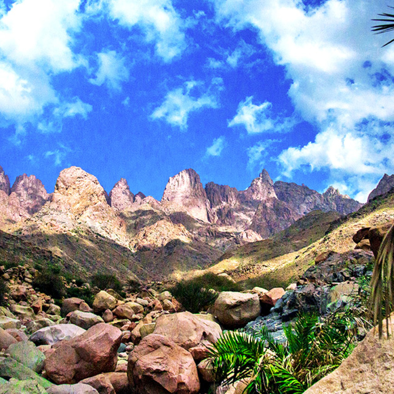 طبيعة تأسر القلوب في محيط جبل رضوى - المصدر روح السعودية