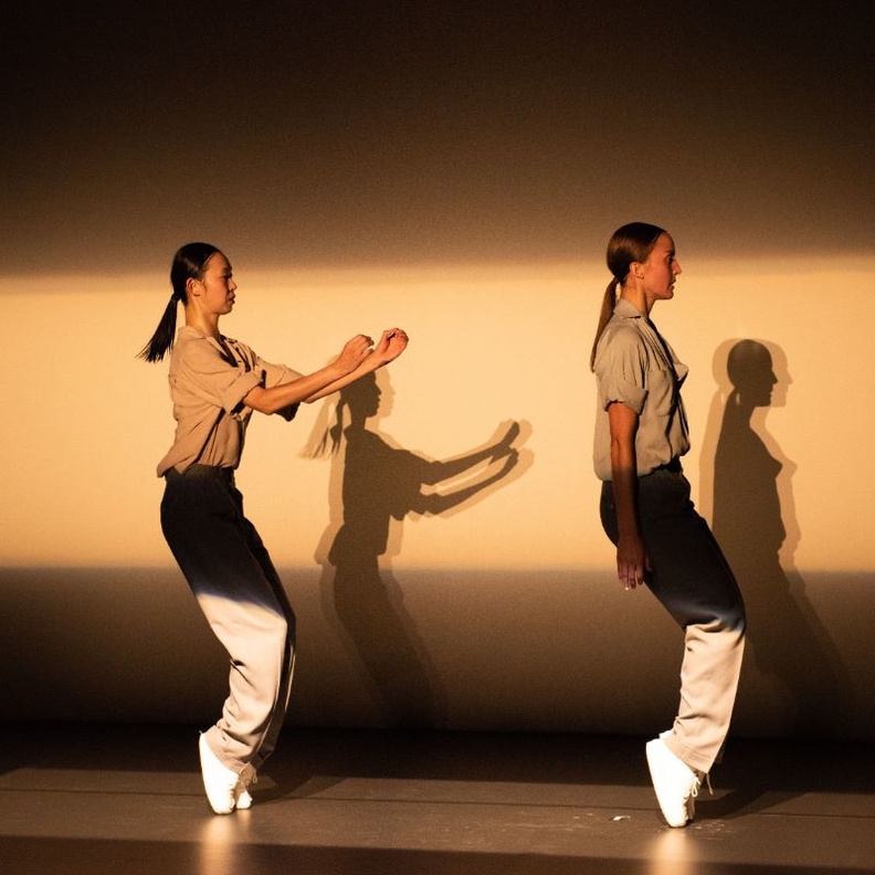 لوحة فنية راقصة