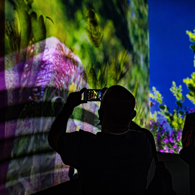 مناظر طبيعية خلابة في الجناح الأسترالي