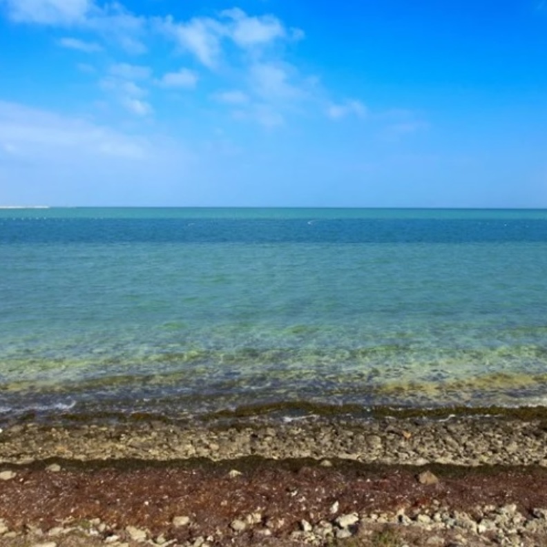 شاطئ المرفأ.. أجواء ساحرة وعروض ترفيهية لا تتوقف على مدار العام بأبوظبي 