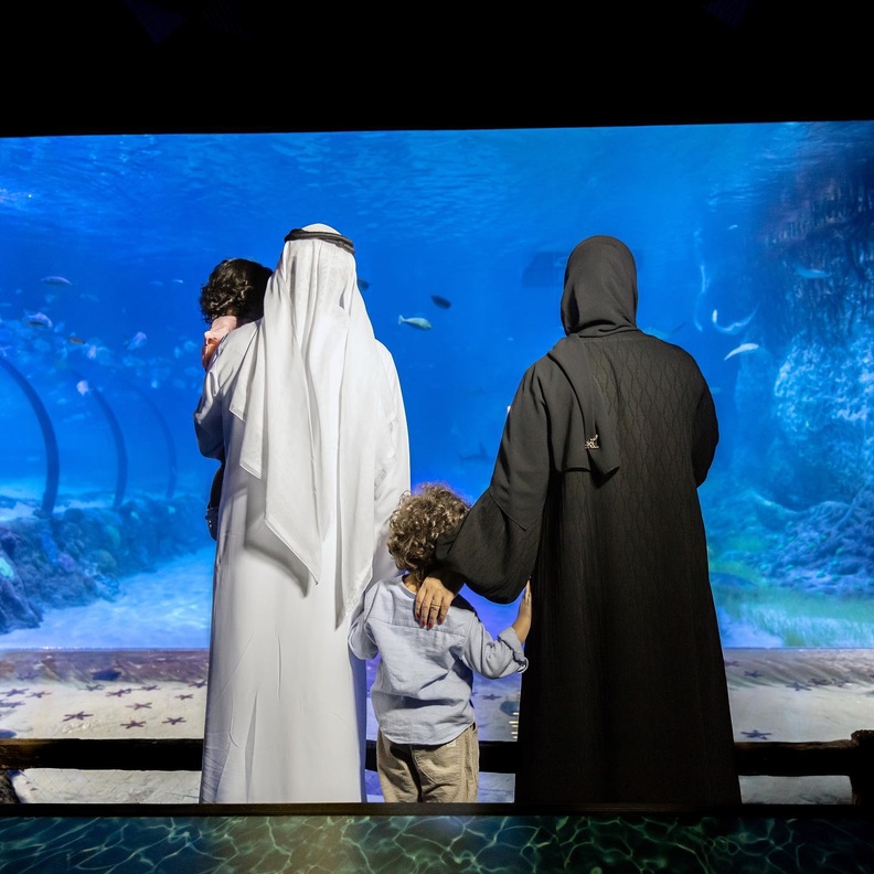 ناشونال أكواريوم أبوظبي.. متعة المغامرة مع أسماك القرش في الإمارات