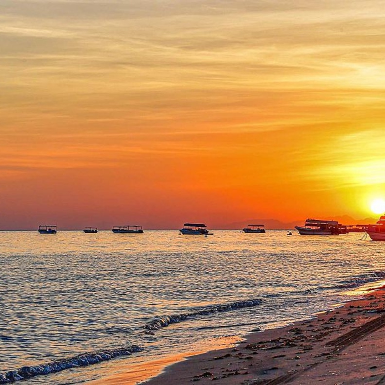 رحلة ساحرة مع أجمل شواطئ تبوك الخلابة - المصدر واس 