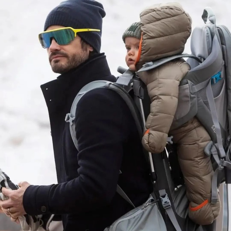 تغريم الأمير كارل فيليب لتجاوزه السرعة