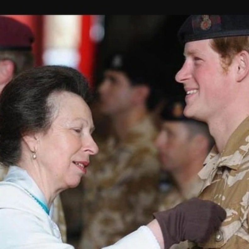 اختيار الأميرة آن لتحل محل الأمير هاري كقائد شرفي للبحرية الملكية البريطانية