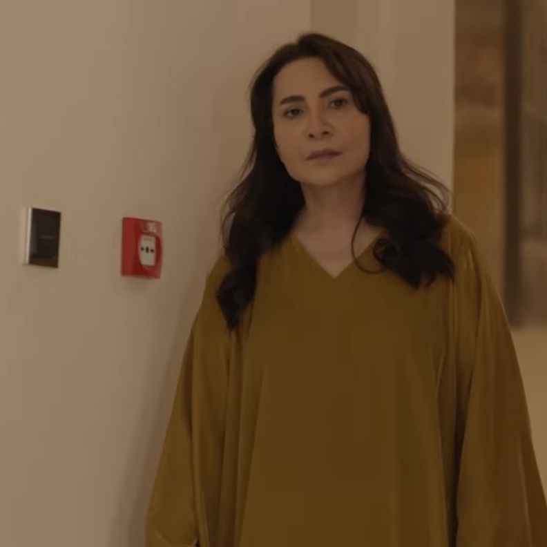 مسلسل "من شارع الهرم إلى"