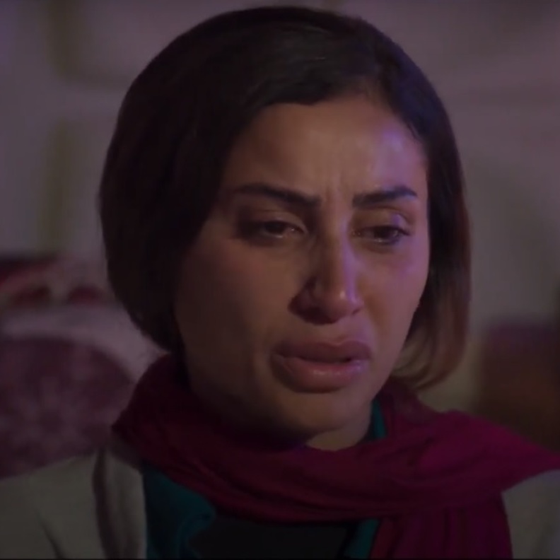 دينا الشربيني