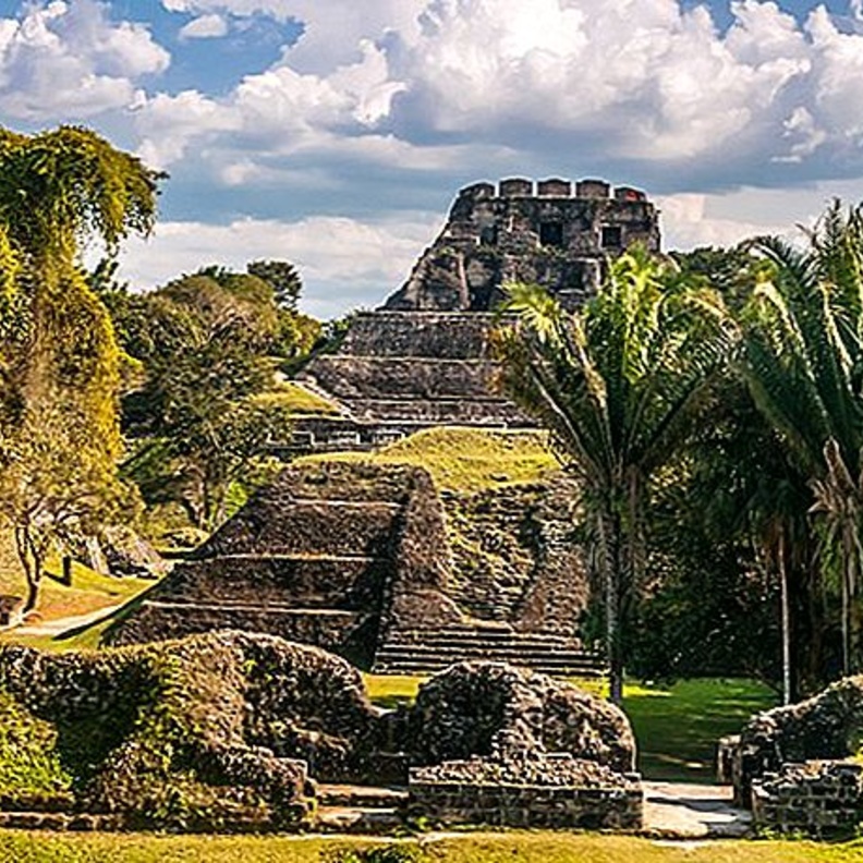 Tiffany & Co تقدّم 6.5 مليون دولار أمريكي لدعم منظمة الحفاظ على الطبيعة في خمس مناطق جغرافية