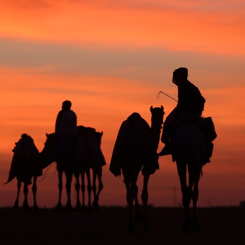 محمية المرزوم.. تجربة ساحرة في أحضان الطبيعة الصحراوية الخلابة بالإمارات 