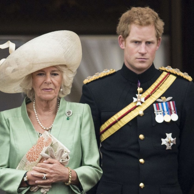 خبيرة ملكية الأمير هاري سيقوم بانتقاد زوجة والده التي يكرهها في كتابه الجديد