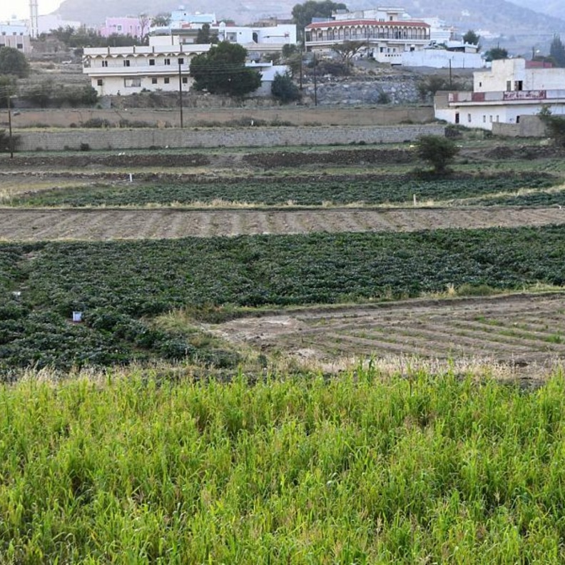 طبب.. وجهة طبيعية خلابة وأجواء تأسر القلوب في عسير 