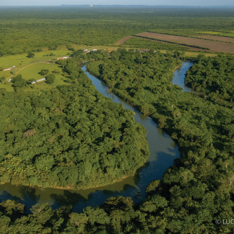 علامة Tiffany & Co تقدّم 6.5 مليون دولار أمريكي لدعم منظمة الحفاظ على الطبيعة في خمس مناطق جغرافية