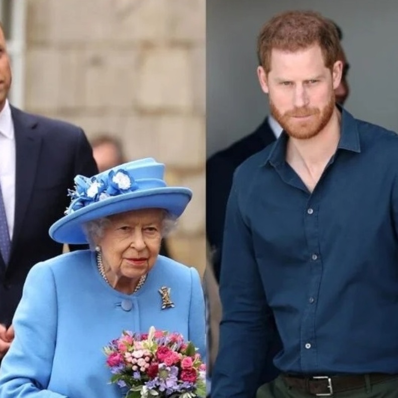 الأمير هاري تعمد أن يكون لقاؤه مع الملكة في غياب الأمير وليام