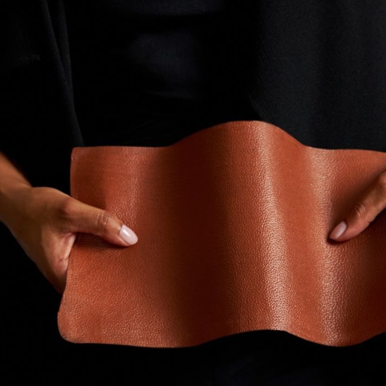 استثمرت مجموعة Kering الفرنسية العملاقة في شركة VitroLabs الناشئة التي تصنّع الجلود في المختبر