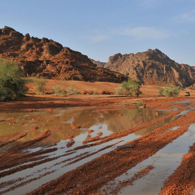 صحراء النفود