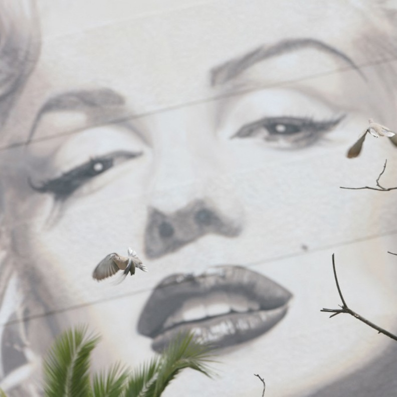 3 أسباب وراء عودة الراحلة مارلين مونرو إلى واجهة هوليوود مجددًا.. من بينها كيم كارداشيان