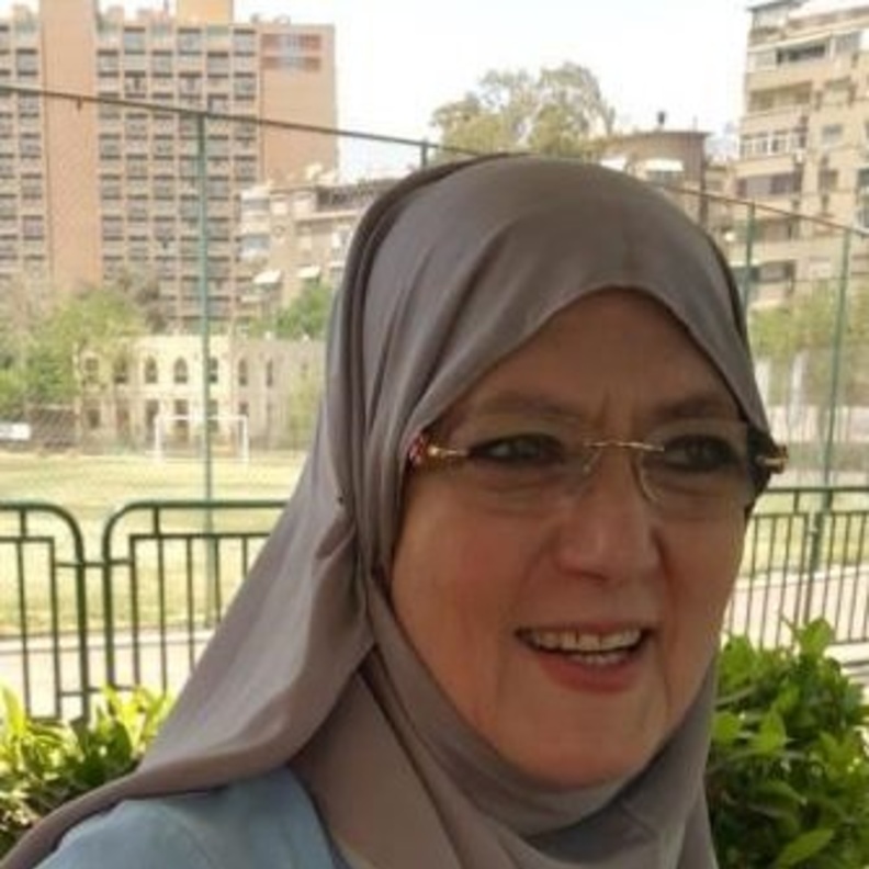 شمس البارودي