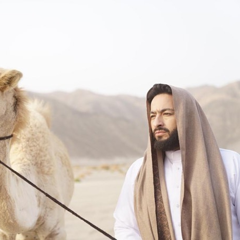 حماد هلال في المداح