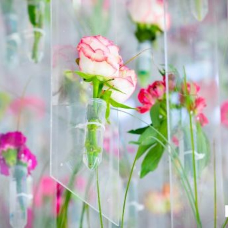 سلَّة مهرجان "طائف الورد" تدخل موسوعة "غينيس" كأكبر سلَّة ورد بالعالم