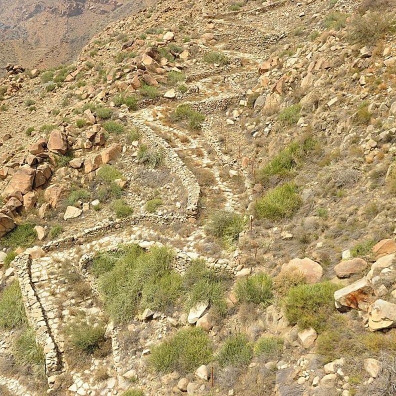 درب الجمالة الأثري.. لوحة تاريخية خلابة في أعالي الجبال بالمملكة