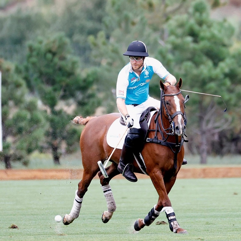 الأمير هاري قد يغيب عن حضور احتفالات اليوبيل البلاتيني للملكة بسبب البولو