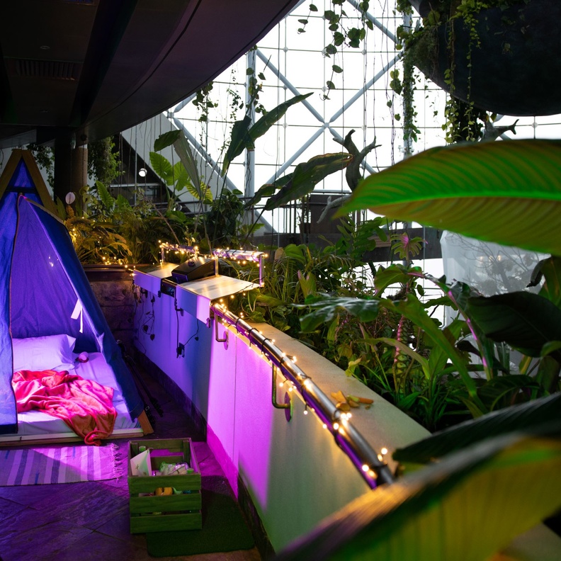 ذا جرين بلانيت تعيد إطلاق تجربة التخييم في رحاب الغابة المطيرة