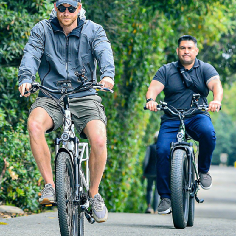 هاري وميغان يستعينان بالحارس السابق لمايكل جاكسون