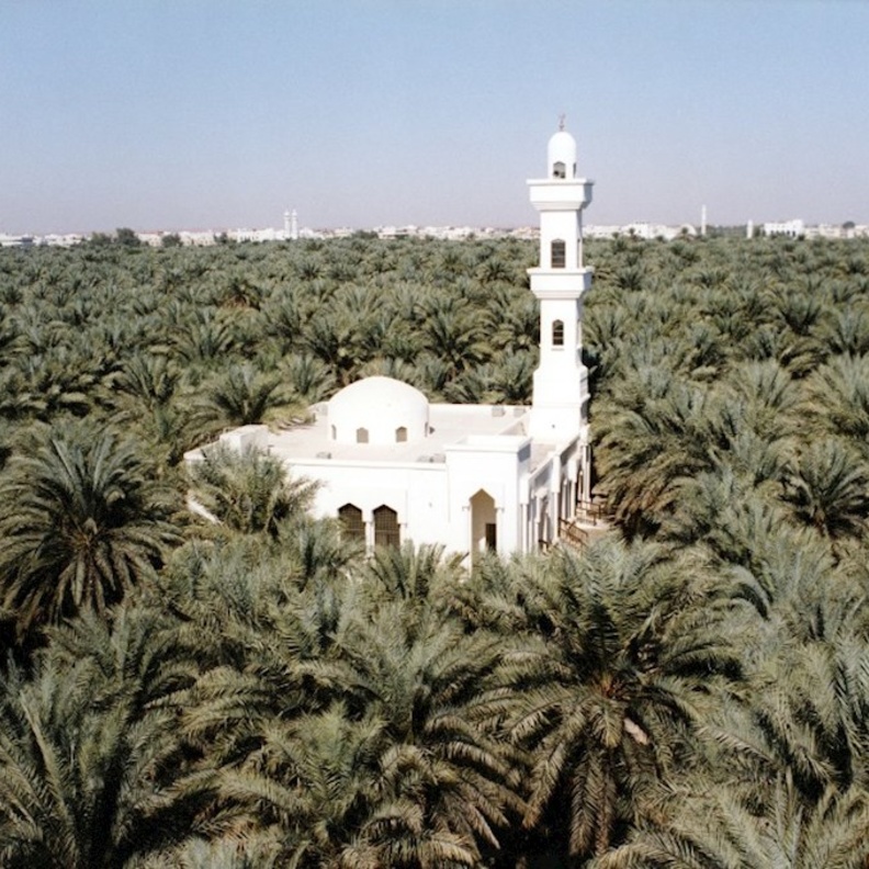 واحة ليوا التاريخية.. ملاذ ساحر لعشاق الاستجمام في أبوظبي 