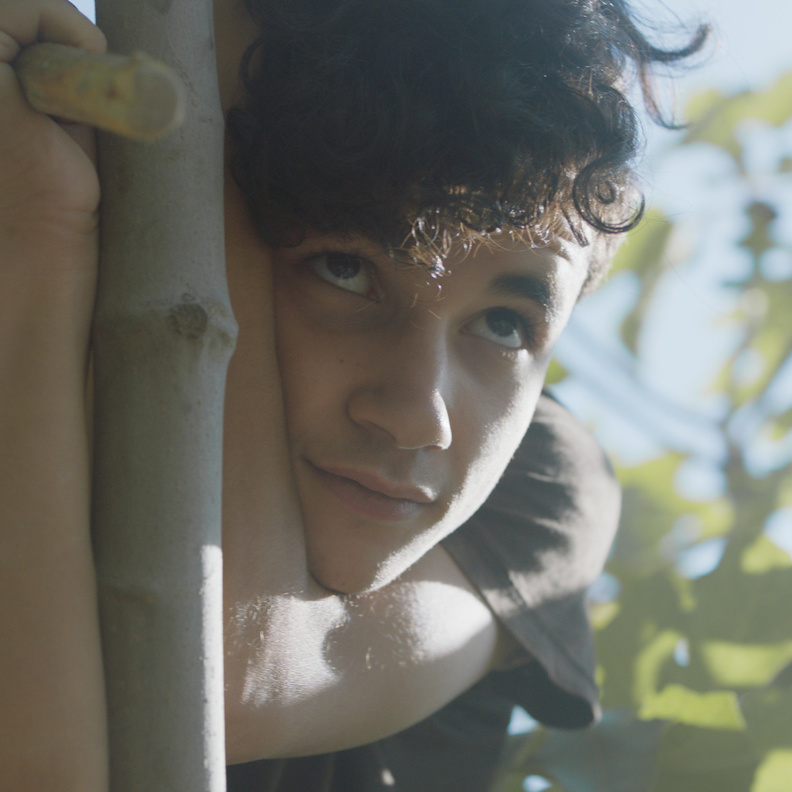 فيلم تحت الشجرة