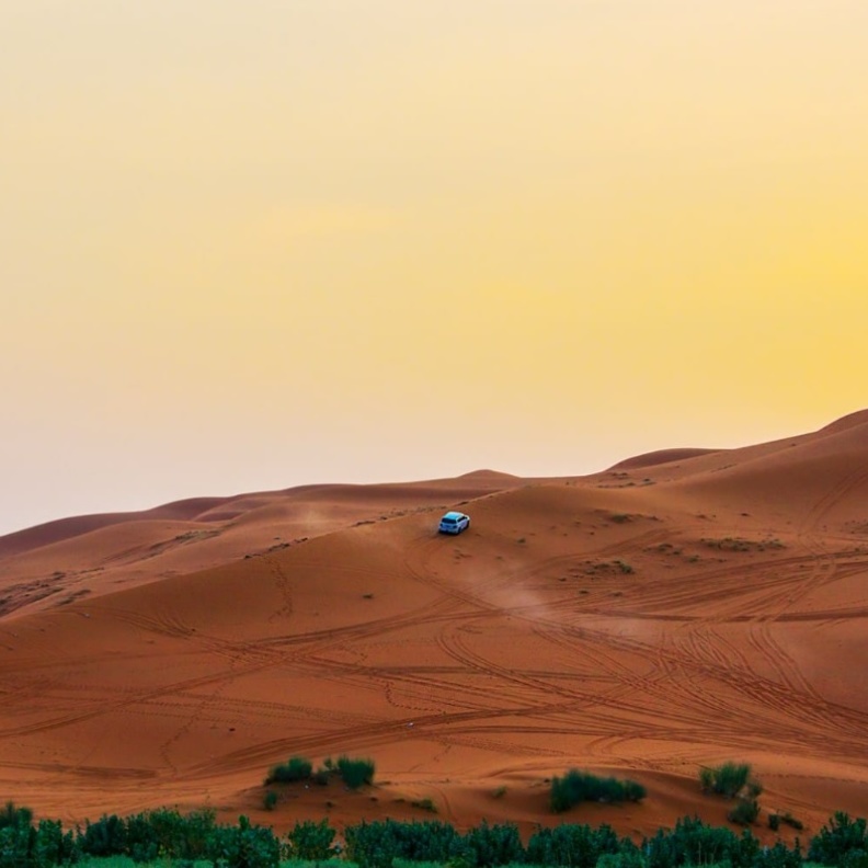 أجواء الطبيعة الساحرة في روضة الخرارة - المصدر روح السعودية