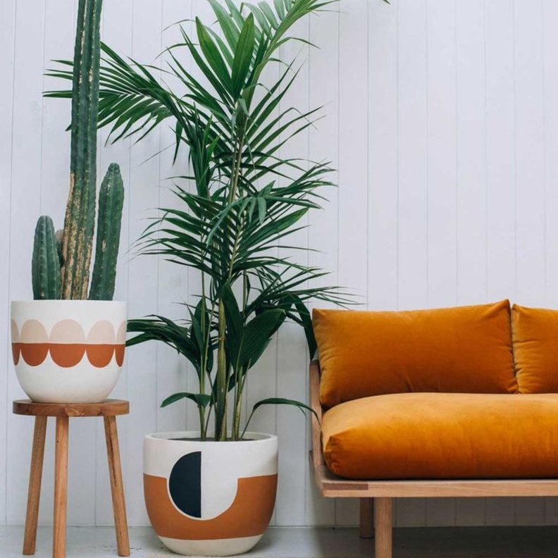 البرتقالي مع الألوان الترابية في ديكورات غرف المعيشة