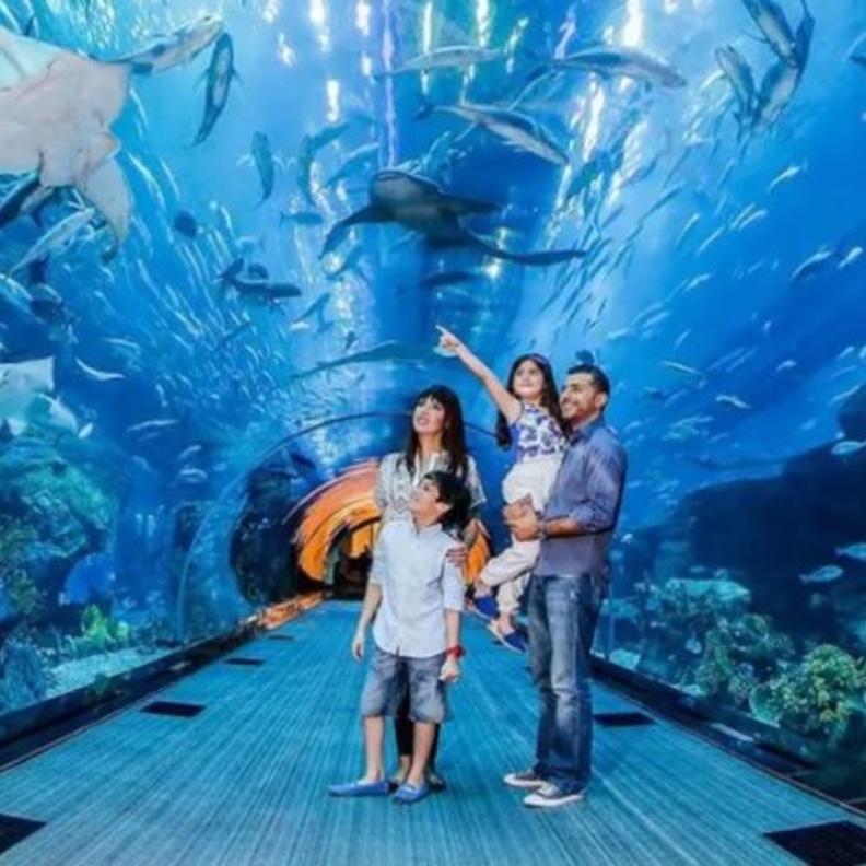 تجربة مميزة لجميع أفراد الأسرة في دبي أكواريوم وحديقة الحيوانات المائية - المصدر دبي أكواريوم