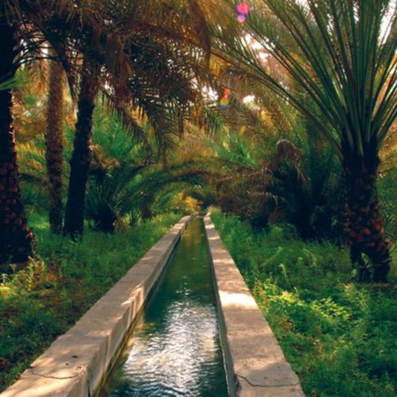 رحلة هانئة وأجواء دافئة في وادي الذيد لعشاق الطبيعة بالشارقة