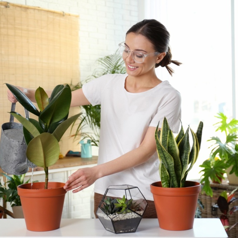 فوائد صحية وبيئية للزراعة المنزلية