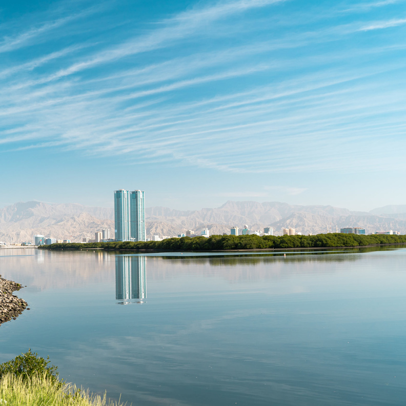 كورنيش القواسم