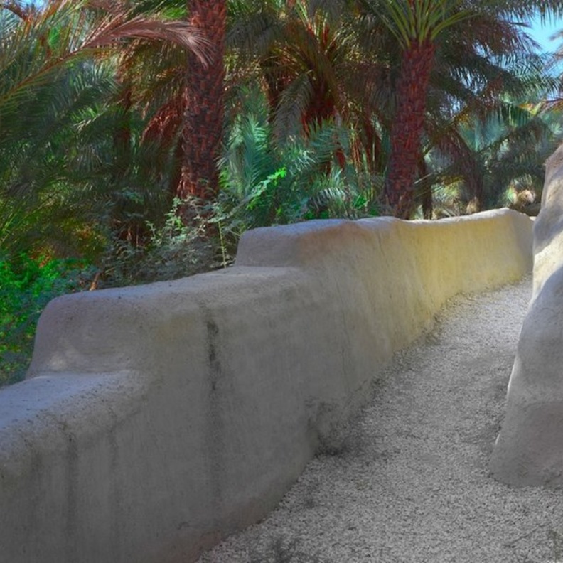 لعشاق الاستجمام والاسترخاء.. إليكم 4 تجارب ساحرة بأجمل الواحات في الإمارات