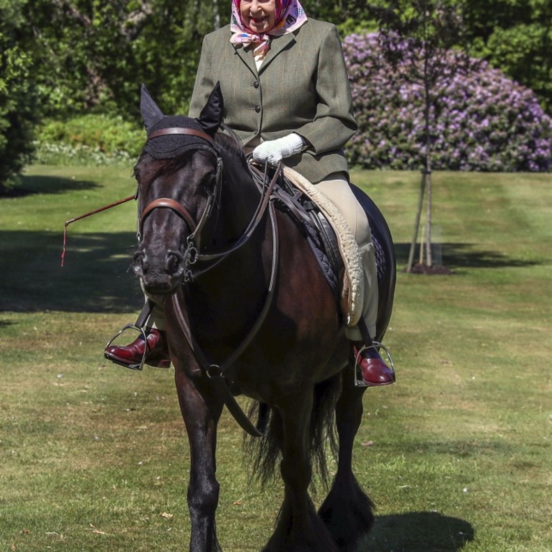 الملكة إليزابيث الثانية تتجول على حصانها المفضل في وندسور