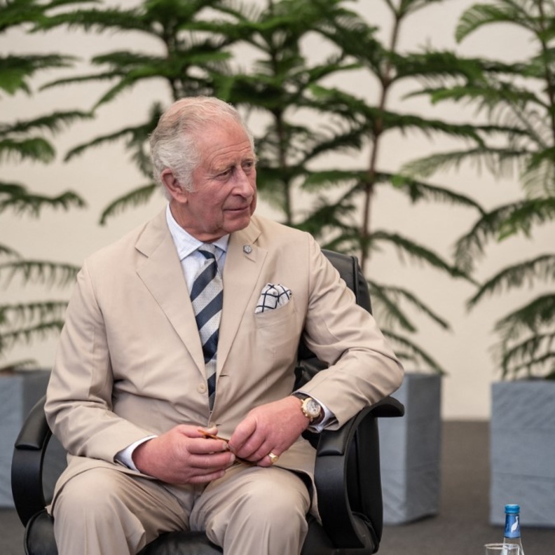 الأمير تشارلز يٌكلف برسم لوحات لجيل "ويندراش"