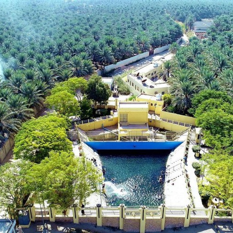 2.5 مليون نخلة تزيّن واحة الأحساء- المصدر واس