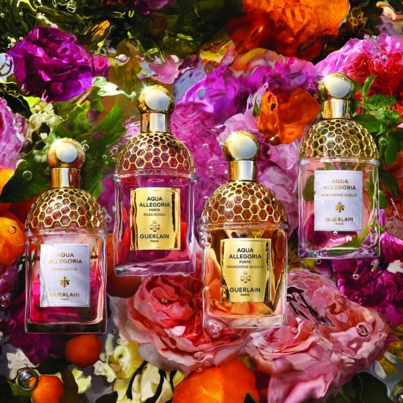 AQUA ALLEGORIA FORTE أكوا أليغوريا فورت المجموعة المكثفة الجديدة العالم حديقتنا من Guerlain